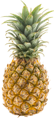 Abacaxi